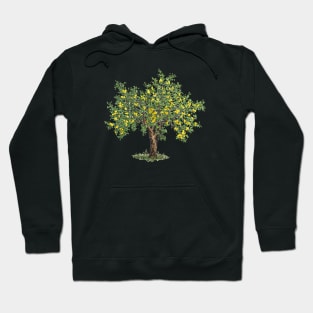 November birthday lemon tree Hoodie